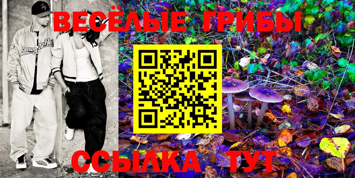 Псилоцибиновые грибы GOLDEN TEACHER Ахтубинск